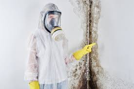 Best Emergency Mold Remediation  in USA